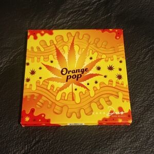 Orange Pop Eyeshadow Color Palette